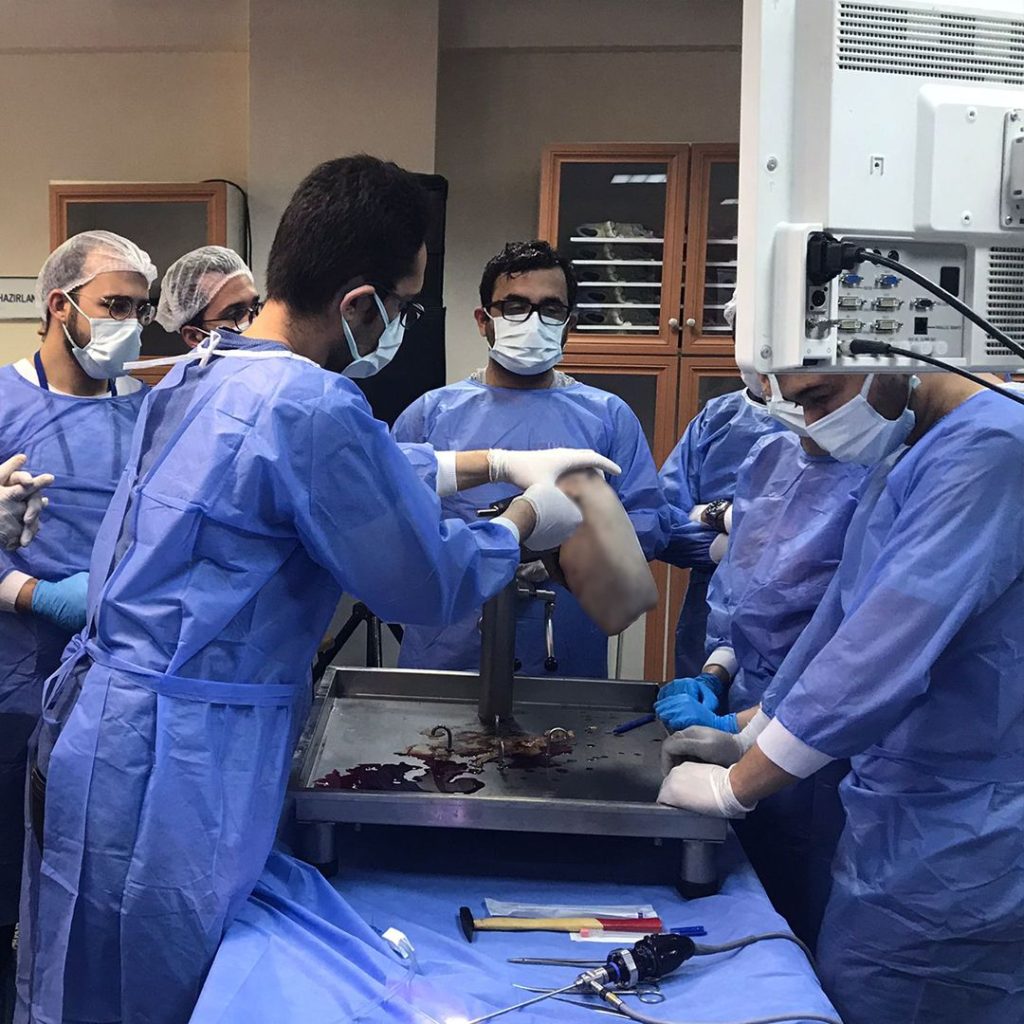 10-11 June 2022 Shoulder Arthroscopy Cadaver Application Training Gazi University